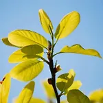 Quinta De Valverde 홀리데이파크