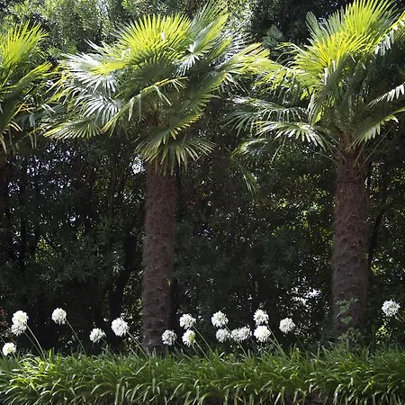 Quinta De Valverde 4*