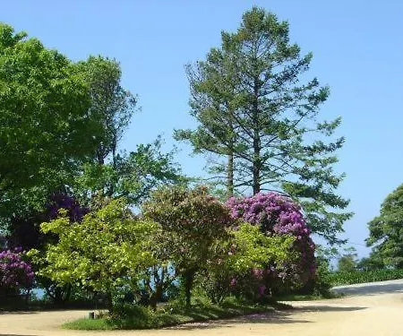 Quinta De Valverde Viana do Castelo