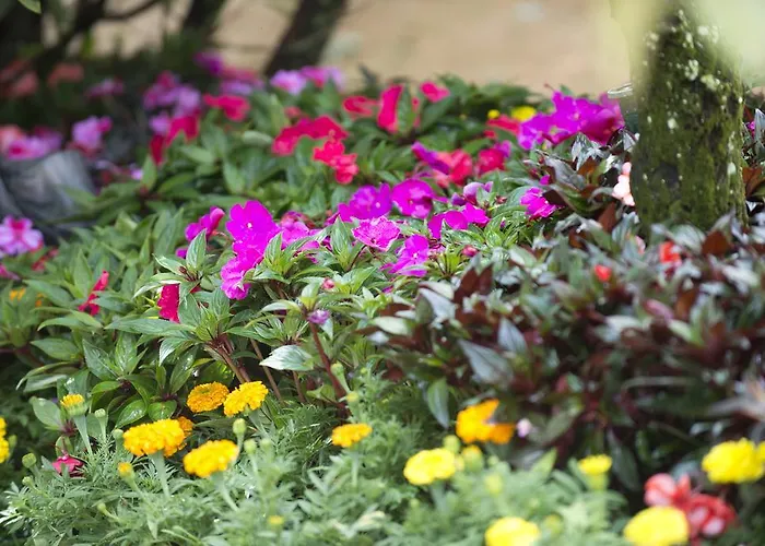 홀리데이파크 Quinta De Valverde 비아나도카스텔로