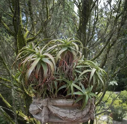 홀리데이파크 Quinta De Valverde 비아나도카스텔로