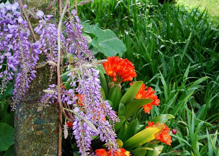 홀리데이파크 Quinta De Valverde