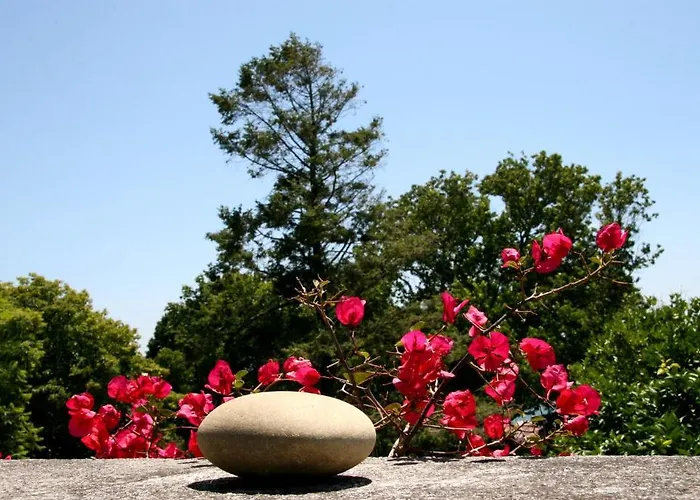 Quinta De Valverde 4* 비아나도카스텔로