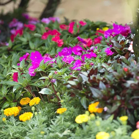 홀리데이파크 Quinta De Valverde 비아나도카스텔로