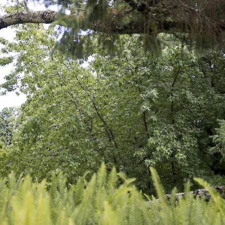 Quinta De Valverde Kompleks wypoczynkowy Viana do Castelo