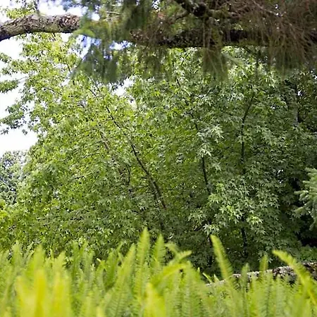 Quinta De Valverde Vakantiepark