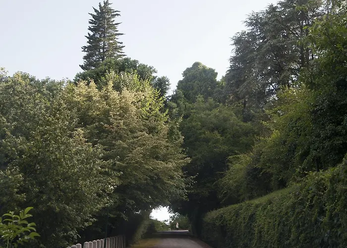 Quinta De Valverde Parco vacanze Viana do Castelo