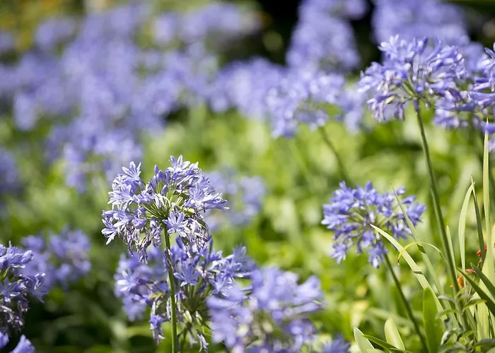 Quinta De Valverde Viana do Castelo