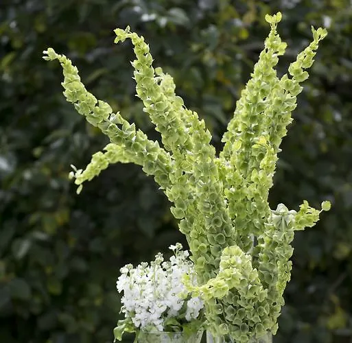 Quinta De Valverde 4* Viana do Castelo