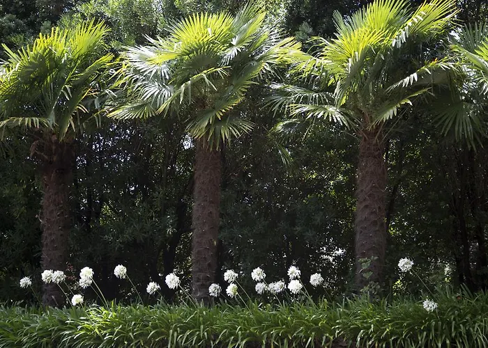 Quinta De Valverde 4*