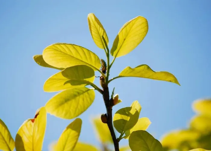 Quinta De Valverde Parco vacanze